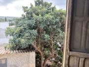 Casa en venta en Molina de Segura Casa en venta en Molina de Segura