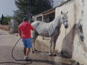 Casa en venta en Monòver. Casas.