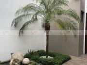 Casa en venta en Monterrey