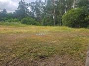 Casa en venta en Mos. Casas.