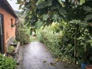 Casa en venta en Moya. FINCA DE 15.000 M2 CON CASA...