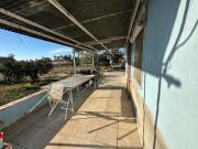 Casa en venta en Novelda. Casa con terreno 4000m2 en...