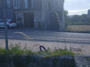 Casa en Venta en O Pereiro de Aguiar