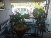 Casa en Venta en Ourense