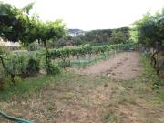 Casa en venta en Ourense, Mariñamansa. Casas.