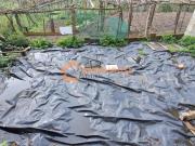 Casa en venta en Ourense, Ventiun. Casas.