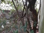 Casa en Venta en Palencia