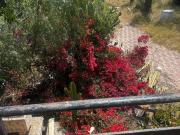 Casa en Venta en Palma de Mallorca Casa en Venta en Palma de Mallorca