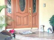 Casa en venta en Paseos del Sol