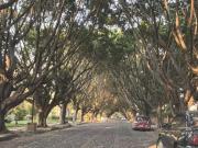 CASA EN VENTA en Pedregal del Carmen, hermoso...