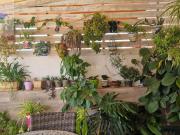 Casa en venta en Pineda de Mar, Centre. Casa en venta en...