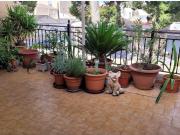 Casa en venta en Pinoso, Alicante