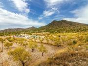 Casa en venta en Pinoso. Casas.