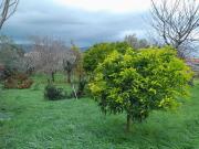 Casa en venta en Pontevedra, Zona Fernández Labreda....