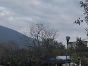 Casa EN VENTA en Privada ALAMO SUR