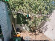 Casa en venta en Puebla de Sancho Pérez. Amplia...