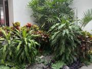 Casa en venta en Puebla en Parque Jalisco Lomas de...