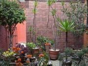 Casa en venta en Pueblo Nuevo 3 recámaras