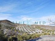 Casa en venta en Puerto Lumbreras. Casa rural...