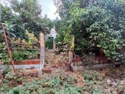 Casa en venta en Puerto Real, Centro. Gran finca urbana...