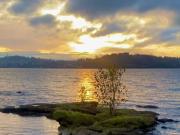 Casa en venta en PUERTO VARAS