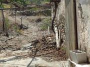 Casa en venta en Purchena. Casa de campo con terreno en...