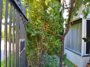 Casa en venta en QUILICURA