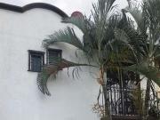 Casa en venta en REMATE con excelente ubicación