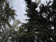 Casa en venta en Residencial Campestre Chiluca, Atizapán...