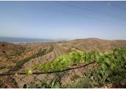 Casa en venta en Rincón de la Victoria, Benagalbón. CASA...