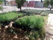 Casa en venta en Río Chuvíscar, col. Arcos, Nuevo Casas...