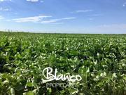 Casa en Venta en Rio Cuarto, Córdoba, Argentina