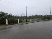 Casa en venta en Riudarenes. Casas.