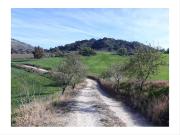 Casa en venta en Ronda, Casco Histórico. Finca con 2... Casa en venta en Ronda, Casco Histórico. Finca con 2...