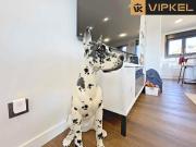 Casa en venta en Sada La Coruña