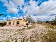 Masía en venta en Salinas. CASA DE CAMPO CON CASITA DE...