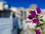 Casa en venta en Salobreña, Granada Costa Tropical