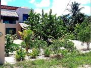 Casa en Venta en San Crisanto, Sinanché Yucatán