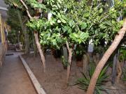 Casa en venta en San Juan de los Terreros, Almería Costa...
