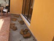 Casa en venta en San Julián de Landeta, Cancún, Guanajuato