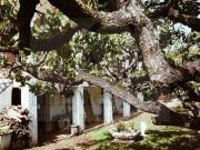 Chalet en venta en avenida De Les Brucardes, Sant...