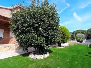 Casa en venta en Sant Pere de Vilamajor. Casa...