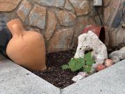 Casa en venta en Santa Coloma de Gramenet, Riera Alta....