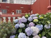 Casa en venta en Santa María de Guía de Gran Canaria....