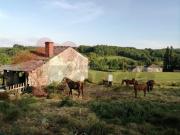 Casa en venta en Sarria. Casa en Goian. Casas. Casa en venta en Sarria. Casa en Goian. Casas.