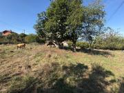 Casa en venta en Siero, Viella Granda Meres. Unifamiliar...