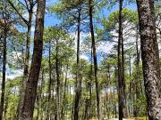 Casa en venta en Tapalpa, Jalisco
