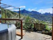 Casa en venta en Tejeda. Dos fincas rústicas con las...