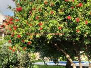 Casa en venta en Tomiño. REF 4185 CHALET PIEDRA 5 DORM....