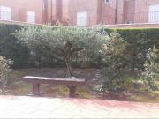 Casa en venta en Uruñuela. Disfrute de la tranquilidad...